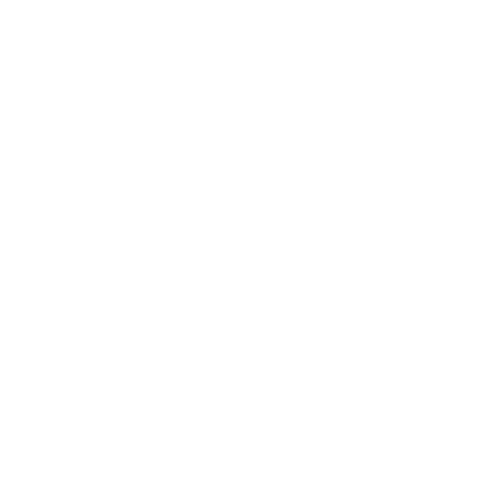 Swiftbots.io Logo